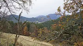 Blick auf Zinnkopf (1228 m – links) und Rauscherg (1671 m – rechts) von Westen, mittig der Zeller Berg