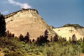 Checkerboard Mesa im Zion-Nationalpark