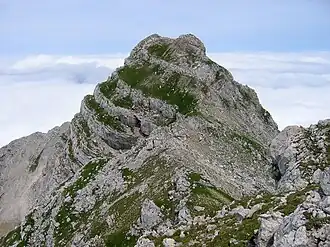 Zwillingkogel Gipfelaufbau